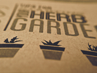 Simply Sprouts- Herb Garden branding illustration packaging