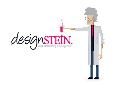 DesignStein corporate identity designer einstein logo design marketing pixel art