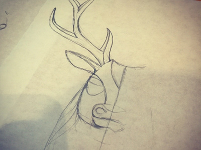 Buck Deer animal antlers buck deer horns illustration pencil sketch
