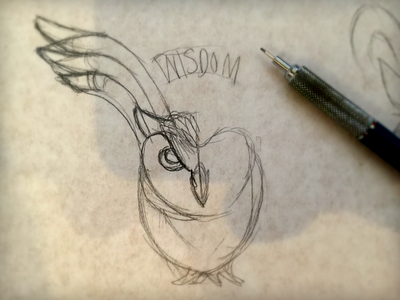Owl animal art design illustration linear owl sketch