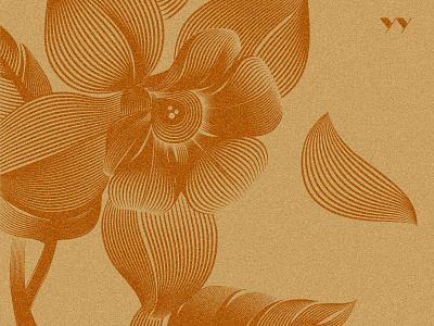 Flowers brand branding cartoon design illustration mark nature poster printing typography