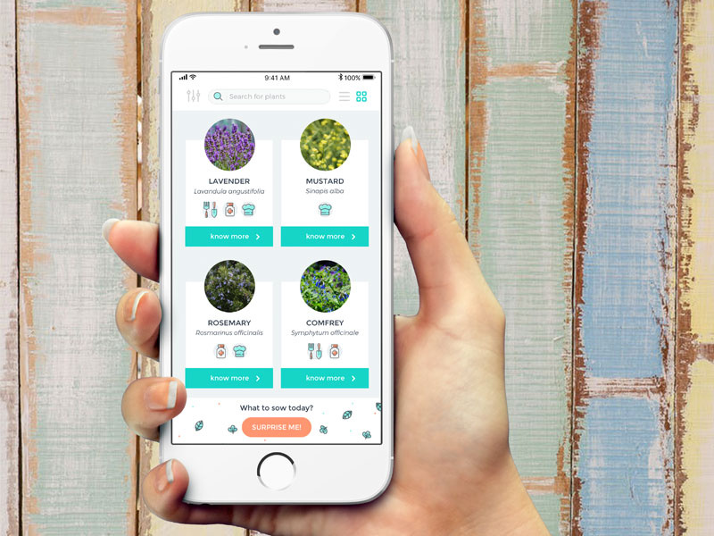 Plant care app by Rocio de Torres on Dribbble