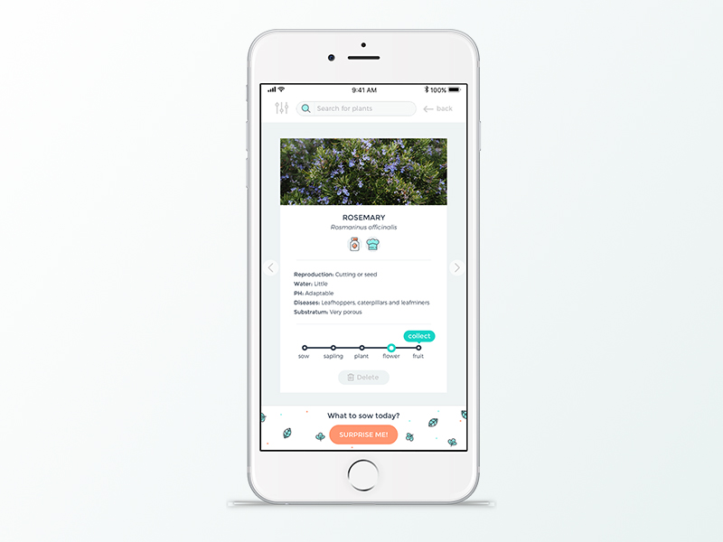 Plant Care App By Rocio De Torres On Dribbble