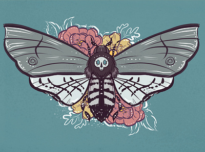 Deaths Head Moth affinity affinity designer illustration moth symmetry