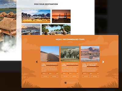 Africa Tours website africa home page tours travel trip finder trips ui ux web design website