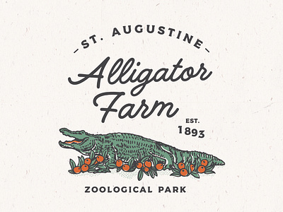 Alligator Farm alligator design florida orange postcard