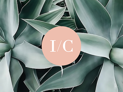I/C - Logo brand branding clean creative modern