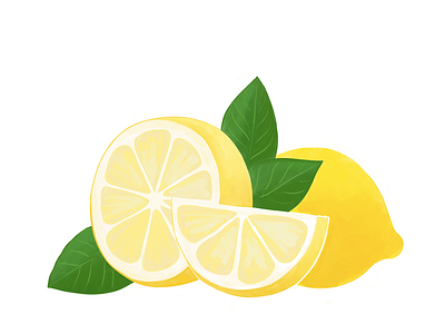 Summer Lemon citrus food food illustration illustration ipad illustration lemon procreate realistic drawing