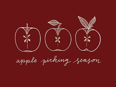 Apple Picking Season