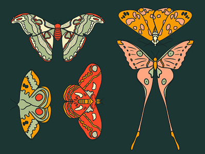 Symmetry butterfly illustration moth pattern procreate symmetry