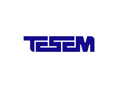 Tesem branding design graphic design leyda luz logo logotype monterrey type custom vector