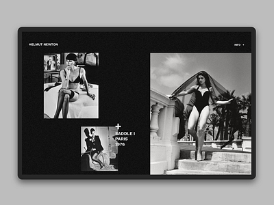 Helmut Newton homepage concept