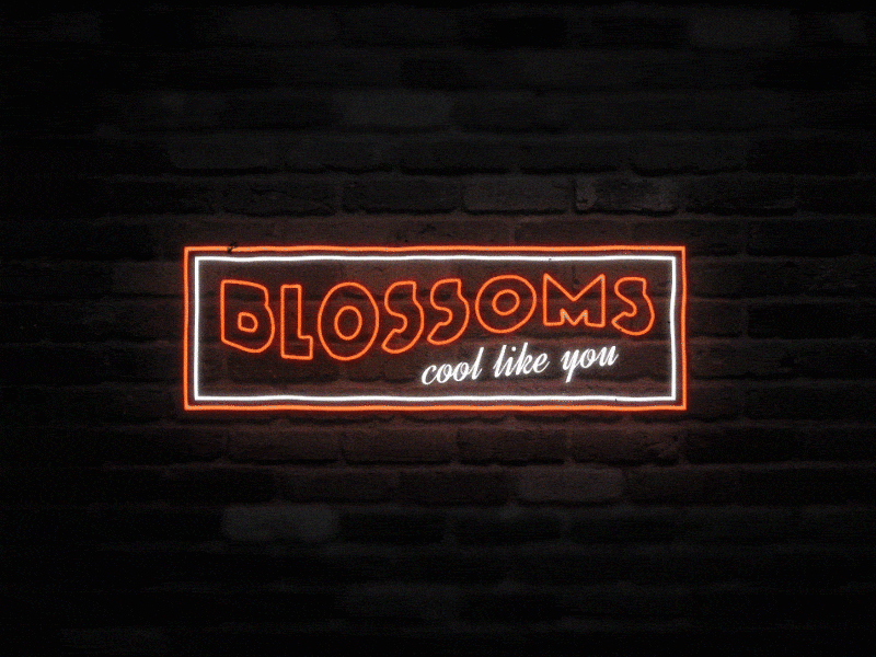 Blossoms - Cool Like You after effects motion graphics neon retro