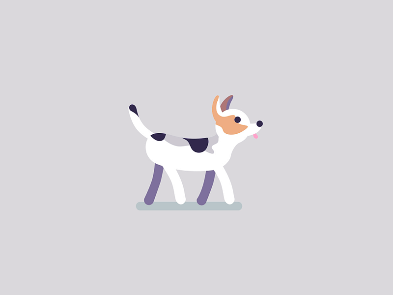 First time using After Effects adobe after effects dog gif illustration illustrator
