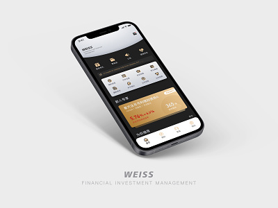 Financial management app design icon ui