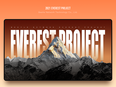 2021 Everest Project design illustration ui web web design