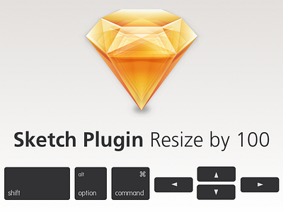 Resize by 100 plugin sketch