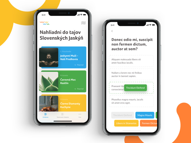 Learning App ui ux education teach fun learn application app mobile dragndrop iphonex ios