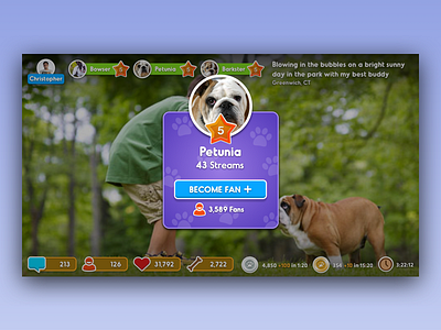 Stream Pet Video App app ios live chat mobile app pets prizes stream video app