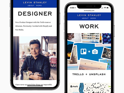 Levin Stanley Portfolio Redesign designer portfolio react redesign website