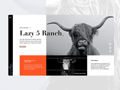 Lazy 5 Ranch website redesign animation black black and white cow cowboy motion website