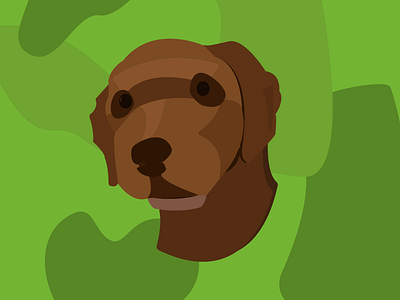 Cookie the labradoodle camo dog illustrator vector graphic