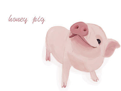 Pigpig