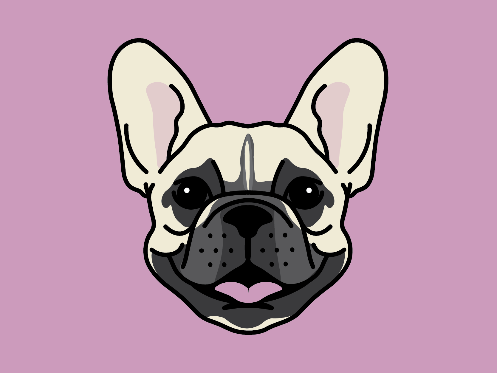 Babe, the Frenchie. by Chelsea Burkett on Dribbble