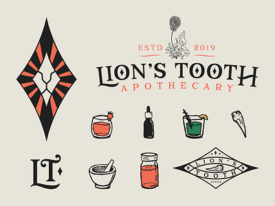 Apothecary Branding Identity brand brand identity branding branding and identity branding design diamond illustration art illustrations lion logo sketches tooth