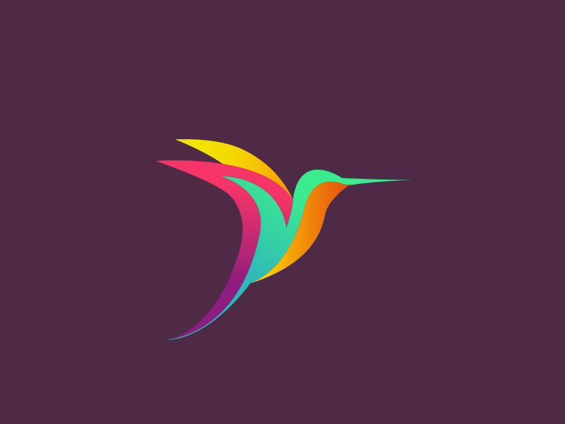 Hummingbird by overbi on Dribbble