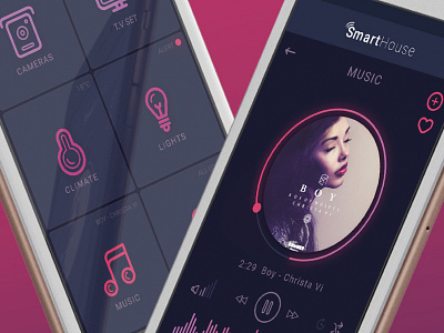 SmartHouse app appdesign icondesign smarthouse uiux