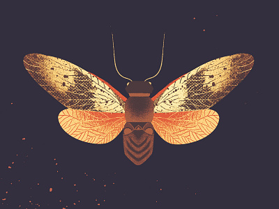 Butterfly art beautiful beauty design digitalart flowers graphic design illustration photoshop