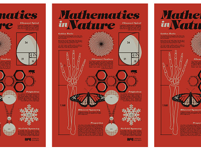 Mathematics in Nature AFE afe artists education for illustration math nature poster progress sketch teachers vintage