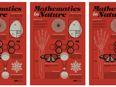 Mathematics in Nature AFE