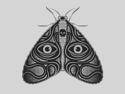 Sleep Deprived Moth black eye illustration gray moth skull texture white