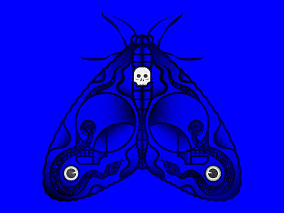 Moth Skull Snake