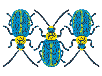 Beetle Illustration beetle color illustration sticker texture pack wip