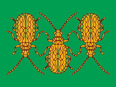 Beetle Illustration v2