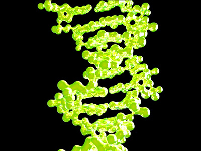 3D DNA Stran 3d dna maya mental ray model molecule render