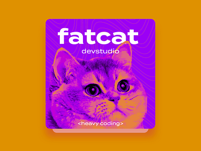 FatCat DevStudio