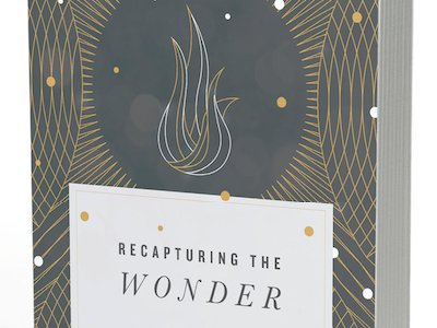 Recapturing the Wonder Book Cover book cover illustration