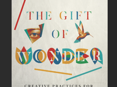 The Gift of Wonder Comp bookcover