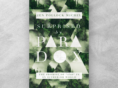 Surprised by Paradox Book Cover Concept book book cover book jacket publishing