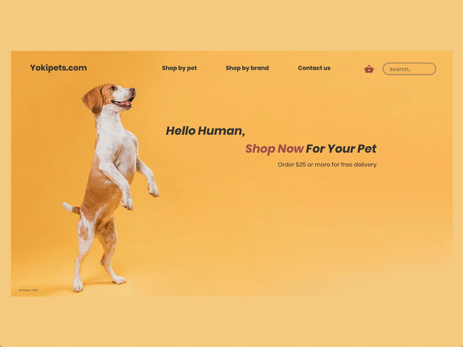 Yoki Pets app concept design dogs homepage pets petshop shop ui ui ux ux yoki