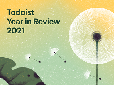 Todoist Year in Review 2021 animation branding design illustration typography ui ux