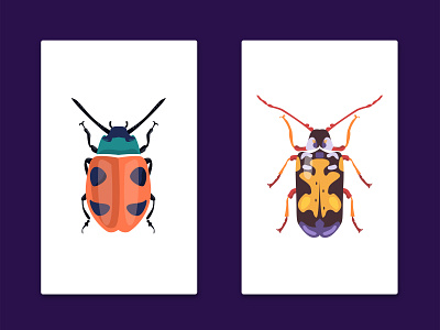 Beetles animal app beetle design flat icon illustration logo minimal vector web