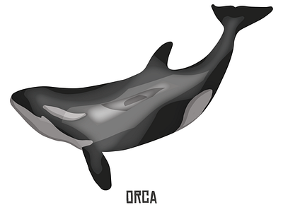 PNW Endangered Animals #1 Orca adobe endangered graphic design illustration illustrator nature inspired orca orca whale pacific northwest photoshop pnw pnw artist