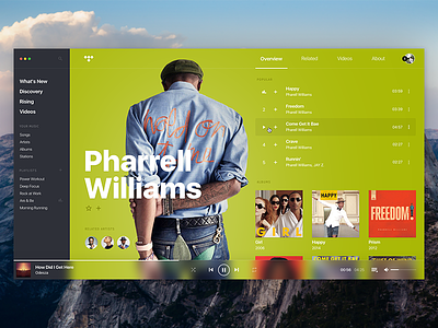 TIDAL • Concept, player, artist page.