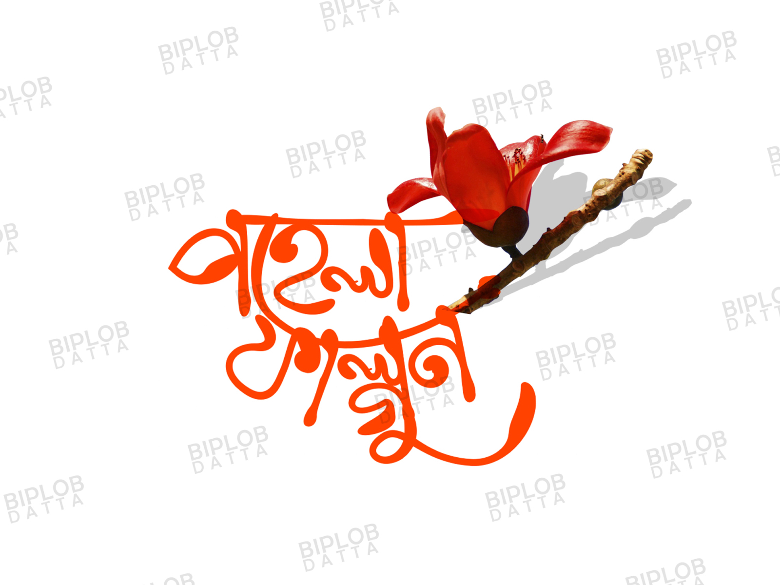 Bangla Typography Pohela Falgun Pohela Falgun Logo By Biplob