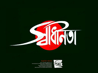 Bangla Typography, Calligraphy & Logo ||  shadinota